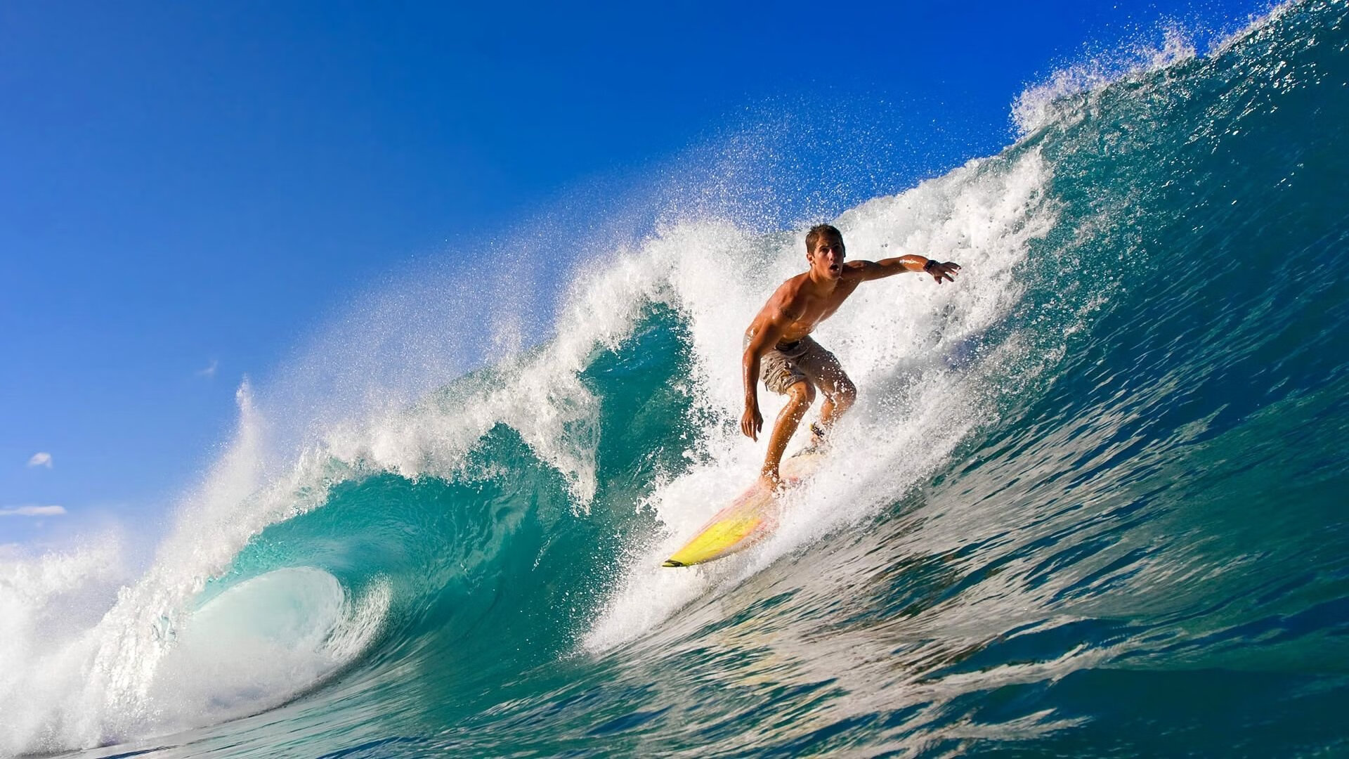 _未来体育智能场馆:科技赋能全民健身_,未来体育馆概念设计